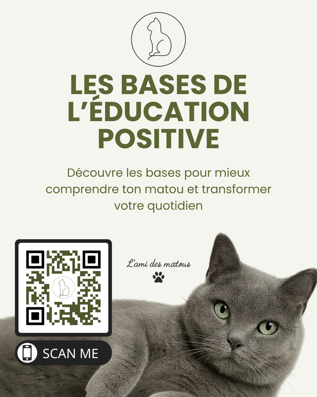 Les bases de l'éducation positive - Découvre les bases pour mieux comprendre ton matou et transformer votre quotidien