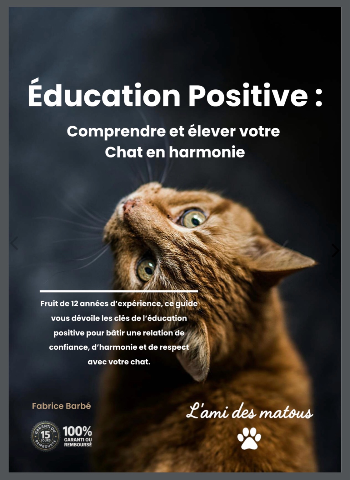 Guide d'éducation positive féline